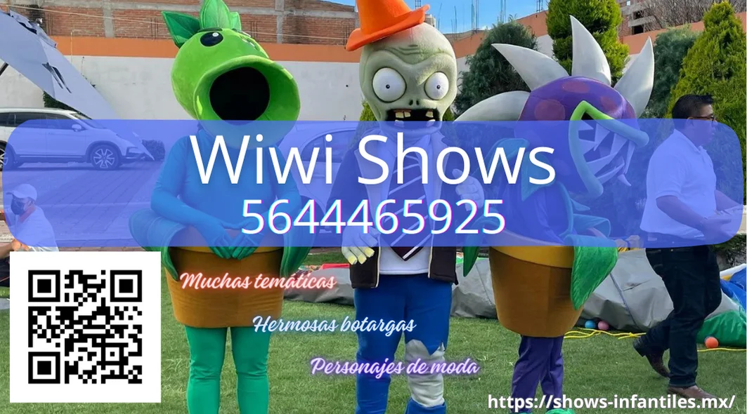 tarjeta wiwi shows 1